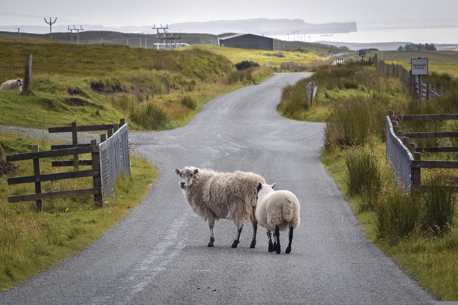 Farm road surfacing